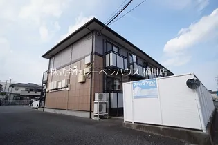 パレスフェオの画像