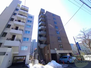 KOYAS VI コヤスシックスの画像