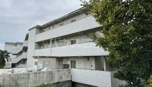 パレ ドール稲田堤IIIの画像