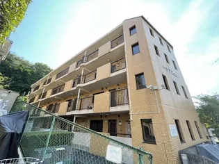 トップス20の画像