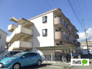 第8木村ハイツ【1階】の外観