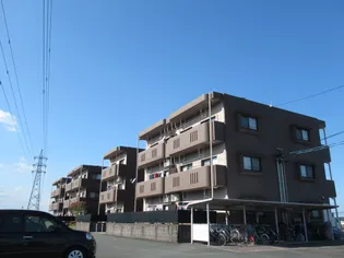 ピュアタウンII【1階】の外観