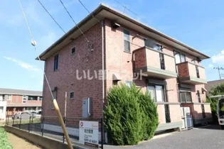 ワカシバウィルモアの画像