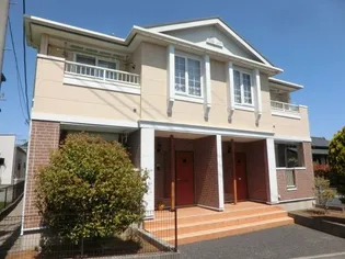 コモディダCの画像