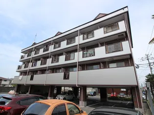 ルナマーレIIの画像