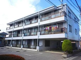 ドミールシャルマンの画像