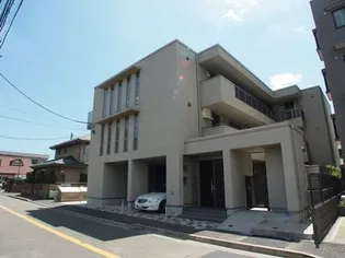 ミントリーフの画像