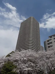 RIVER POINT TOWER【20階】の外観