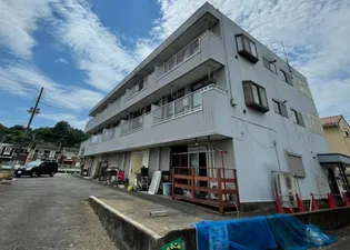 カインド不二NO 1の画像