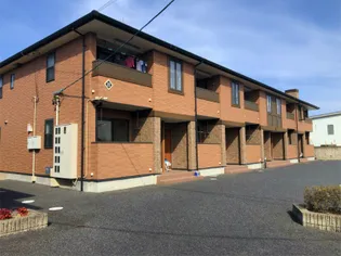 プリムローズII Bの画像