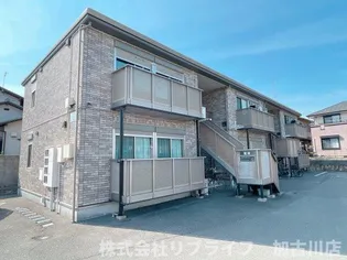 フェリーチェの画像