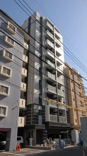 セルリアン中洲の画像