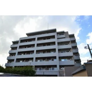 フォレストの画像