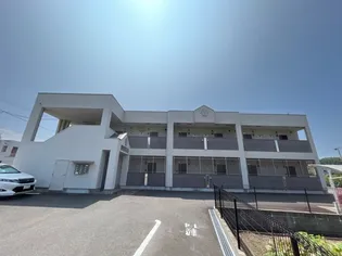 トゥルプローズの画像