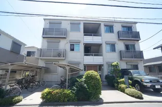 アリスティオの画像