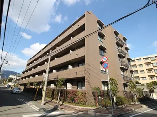 マインズ芦屋の画像