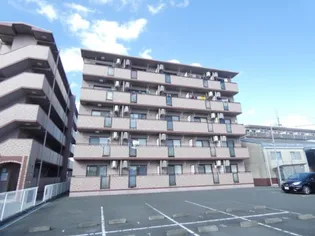 ベルソーナの画像