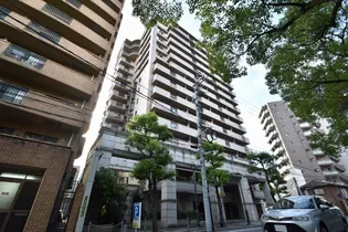 ロイヤルロッコー柳橋公園の画像