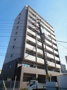 プリマヴェーラの画像