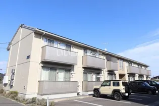 シャルマン Cの画像