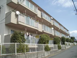 山王ハイツBの画像