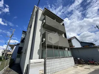 エヌエムトラントシスの画像