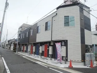 バステトこがねの画像