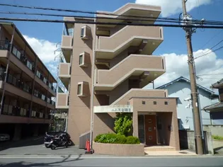 エムス金剛Ⅱの画像