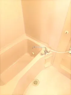 ユーティーライズA棟【1階】の風呂