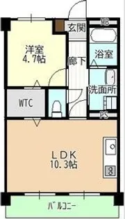 臼井ビル【4階】の間取り