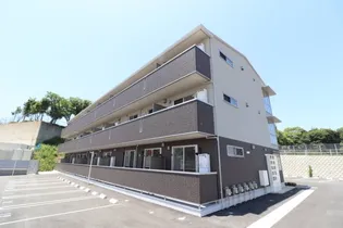 EPI和白丘の画像