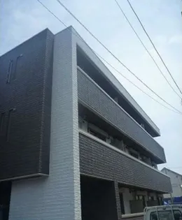 シェリーの画像