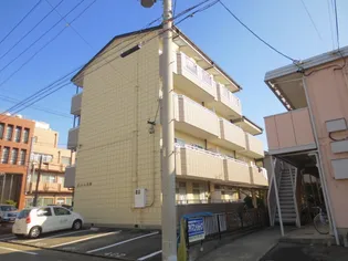 ユミール松葉の画像