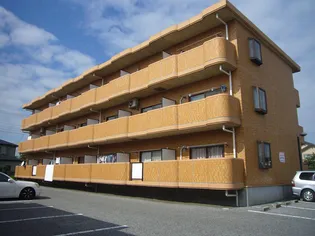 ラ セゾンIMMの画像