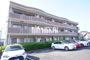 パーシモンの画像