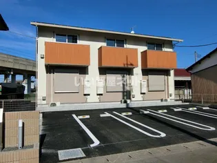 ワカバミントの画像