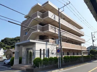 パール シェル鎌倉の画像