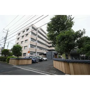ヒルズ神明の木の画像