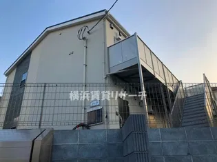 アムール白楽の画像