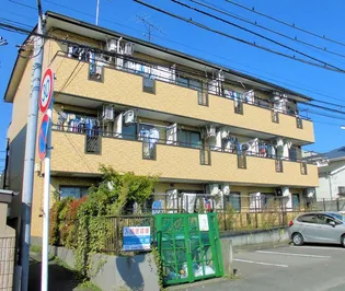 チェリーパイⅢの画像