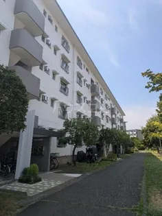 西遊馬団地3号棟【5階】の外観