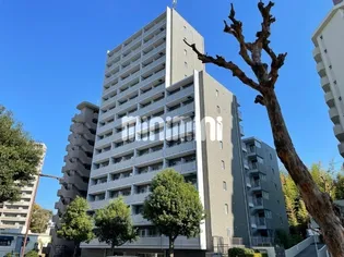 WELLコート山手【8階】の外観