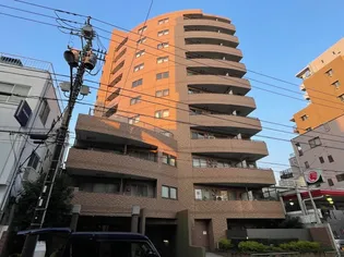 オーパスホームズ白山【10階】の外観