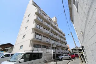 ベルガ菅原の画像