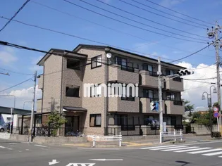 WISTERIAWAKAYAMAIIIの画像