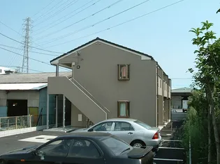 ライムコートの画像