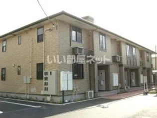 プラティ コドンIIの画像