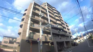 サンローレルの画像