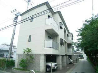REMの画像