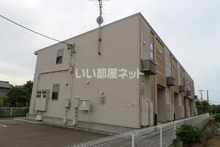PERSIMMONーKの画像